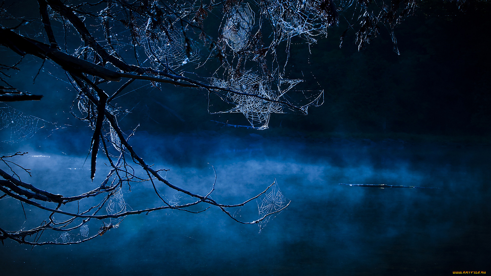 blue, hallows, eve, , , , , 